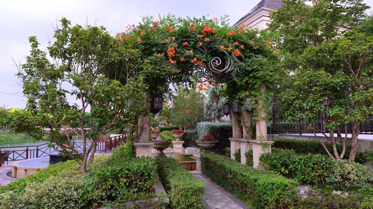 Photo of Outdoor in Jiading