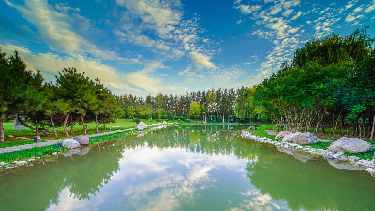 Photo of Others in Hondlon