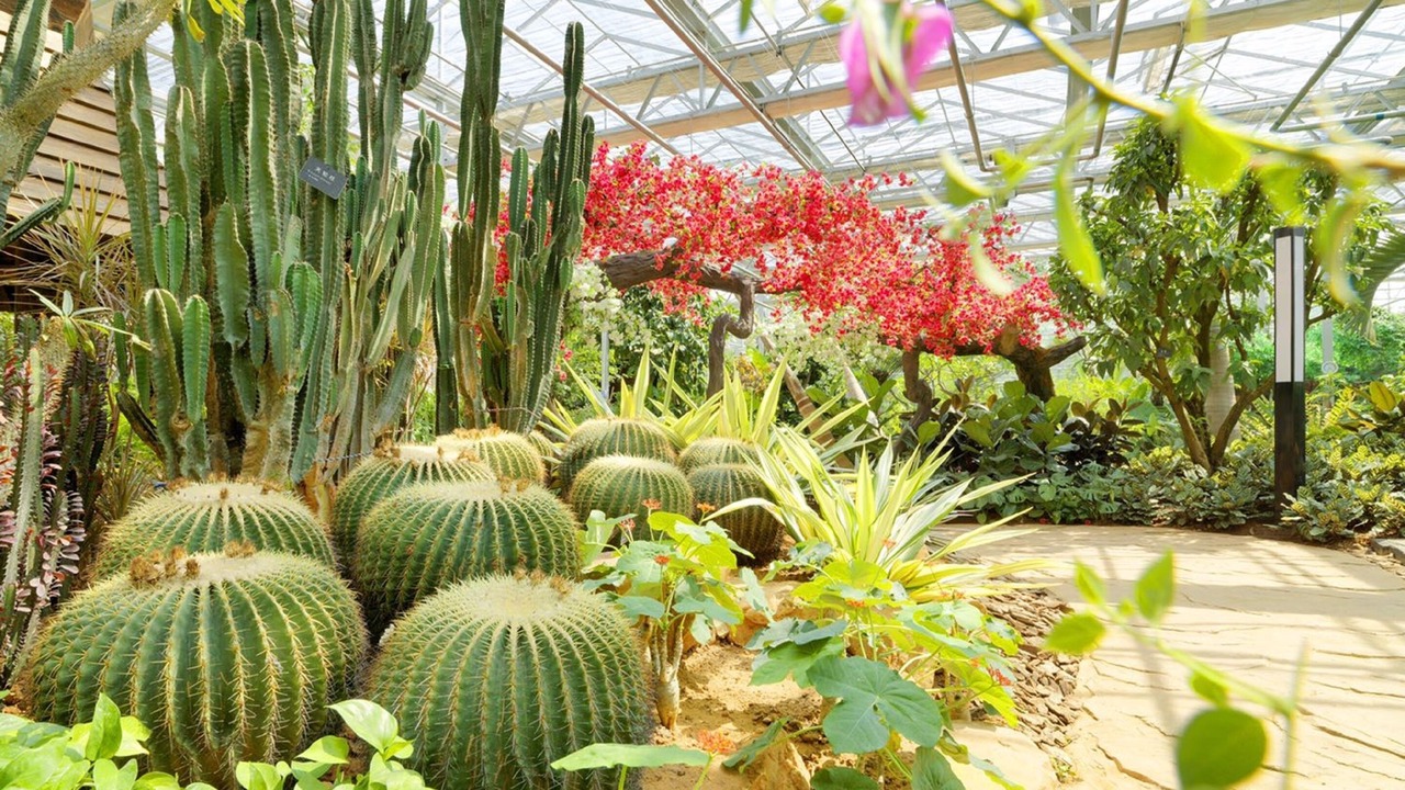 Photo of Outdoor in Miyun