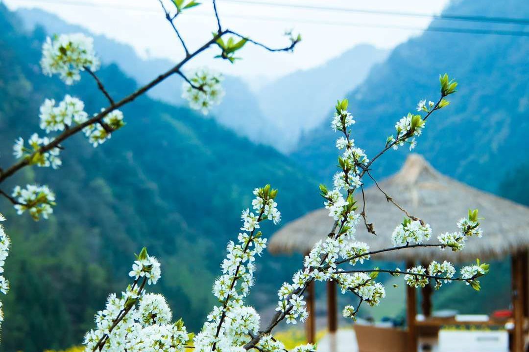 Photo of Outdoor in Wulingyuan