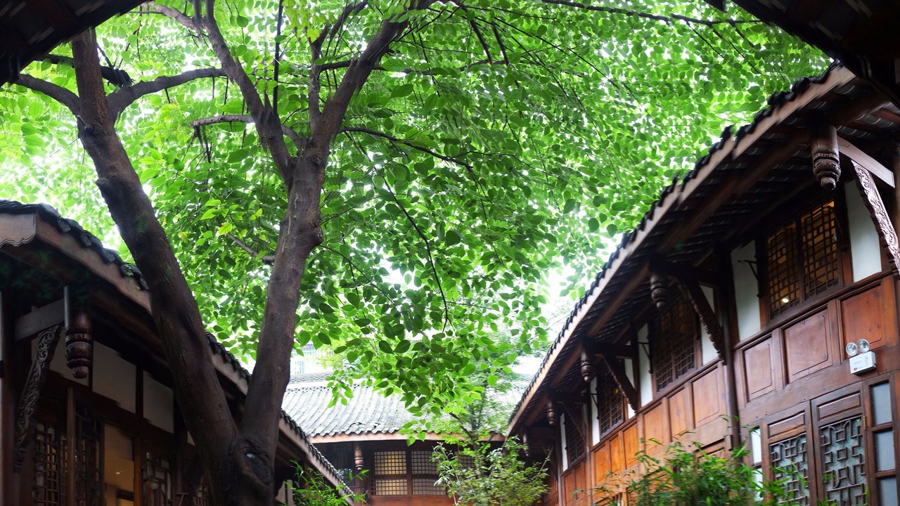 Photo of Outdoor in Chengdu City Centre
