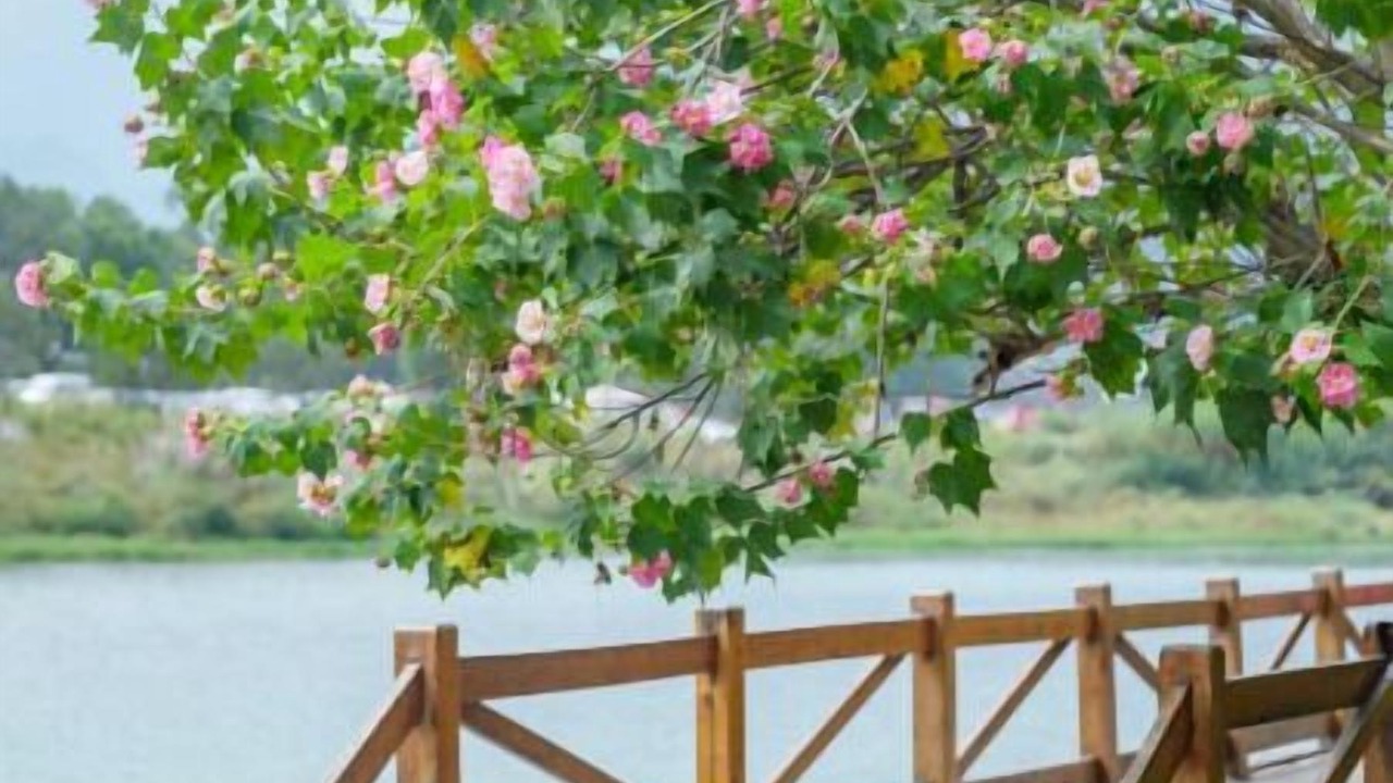 Photo of Outdoor in Wulingyuan