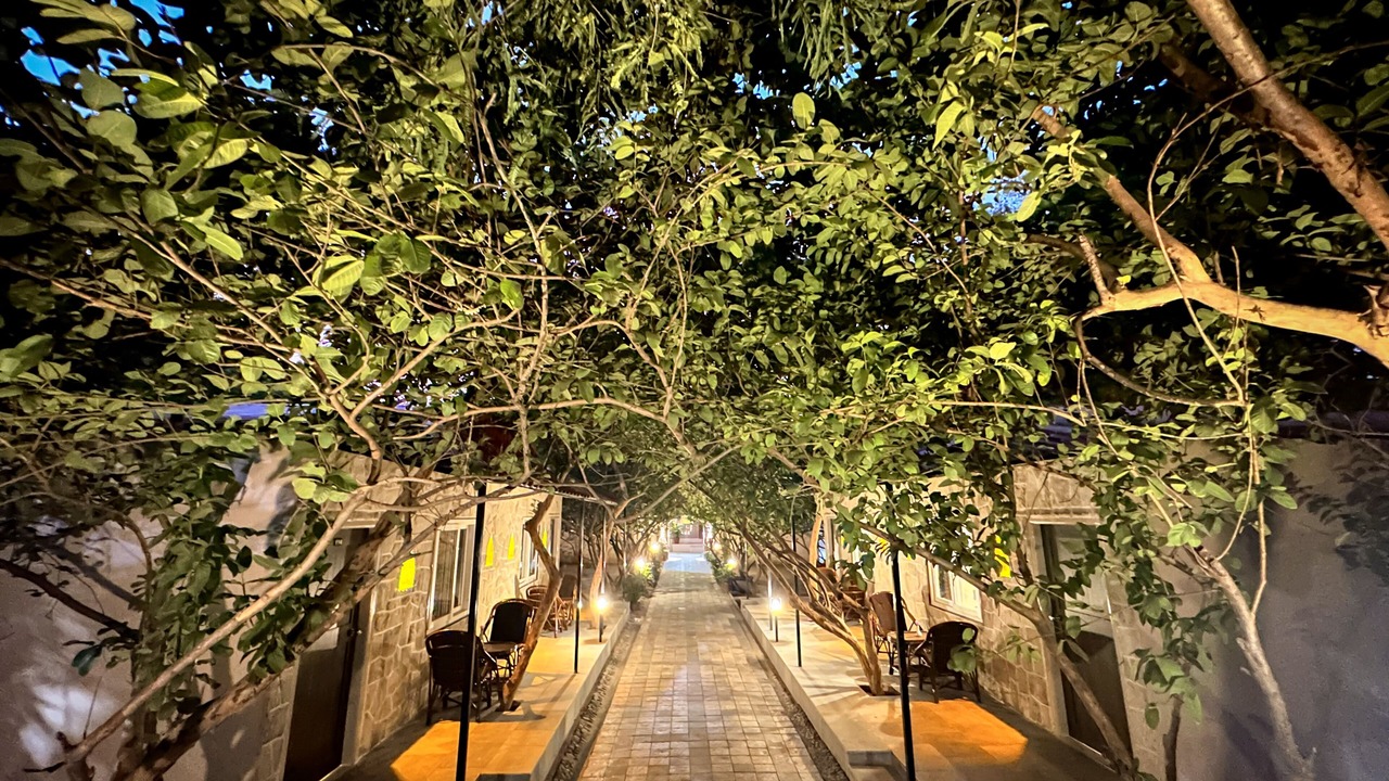Photo of Outdoor in Sawai Madhopur