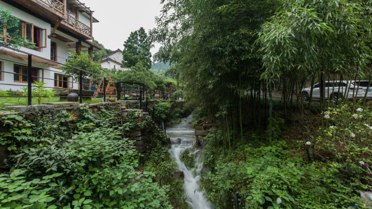 Photo of Others in Moganshan