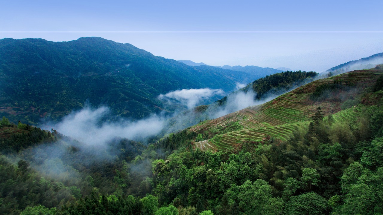 Photo of Others in Longsheng