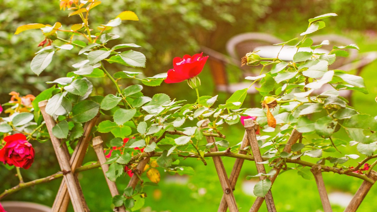 Photo of Outdoor in Xiufeng