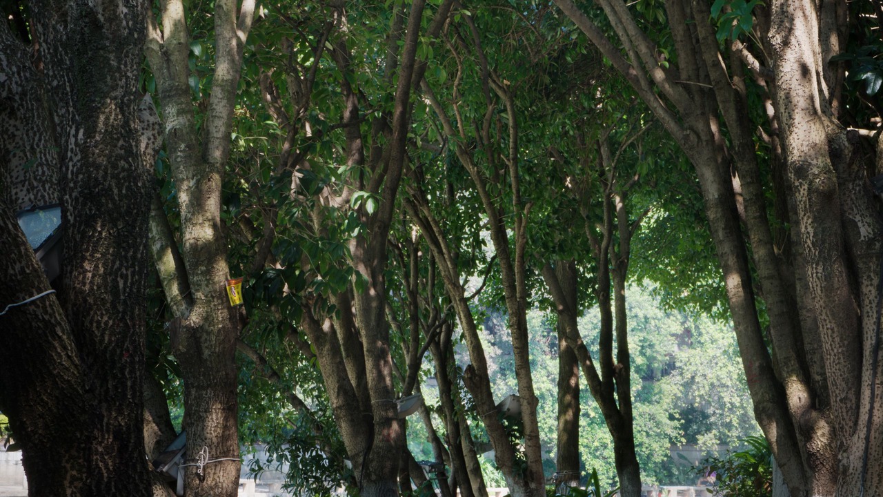 Photo of Outdoor in Guilin City Centre