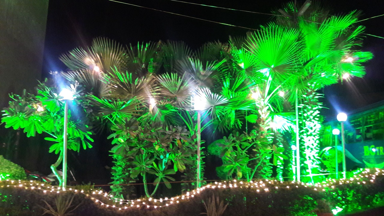 Photo of Others in Chhata