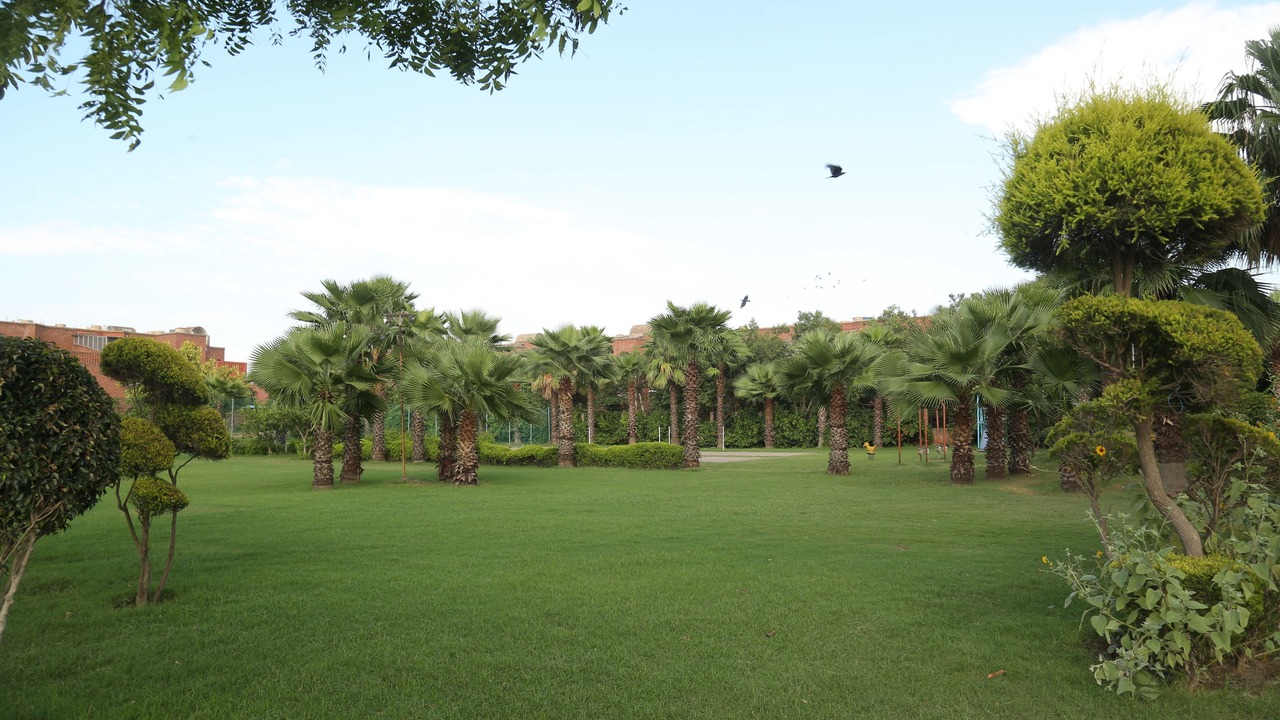 Photo of Others in Chhata