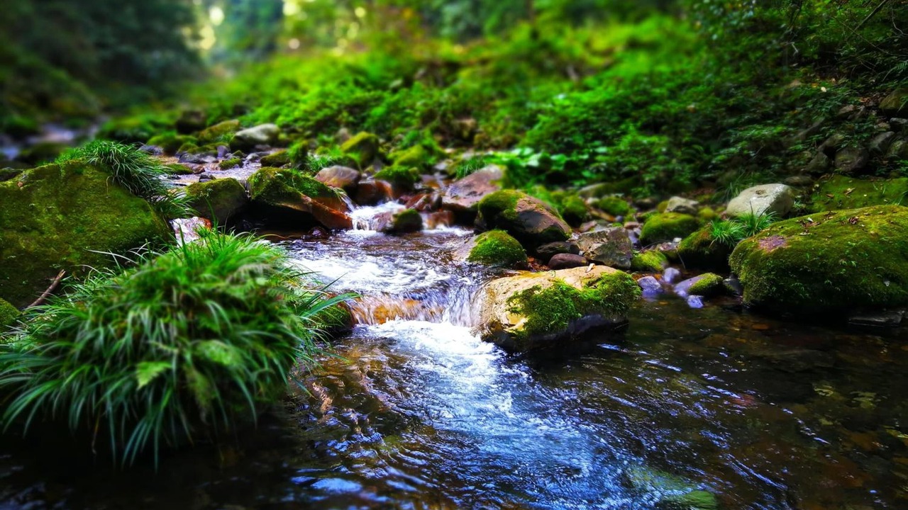 Photo of Outdoor in Yongding