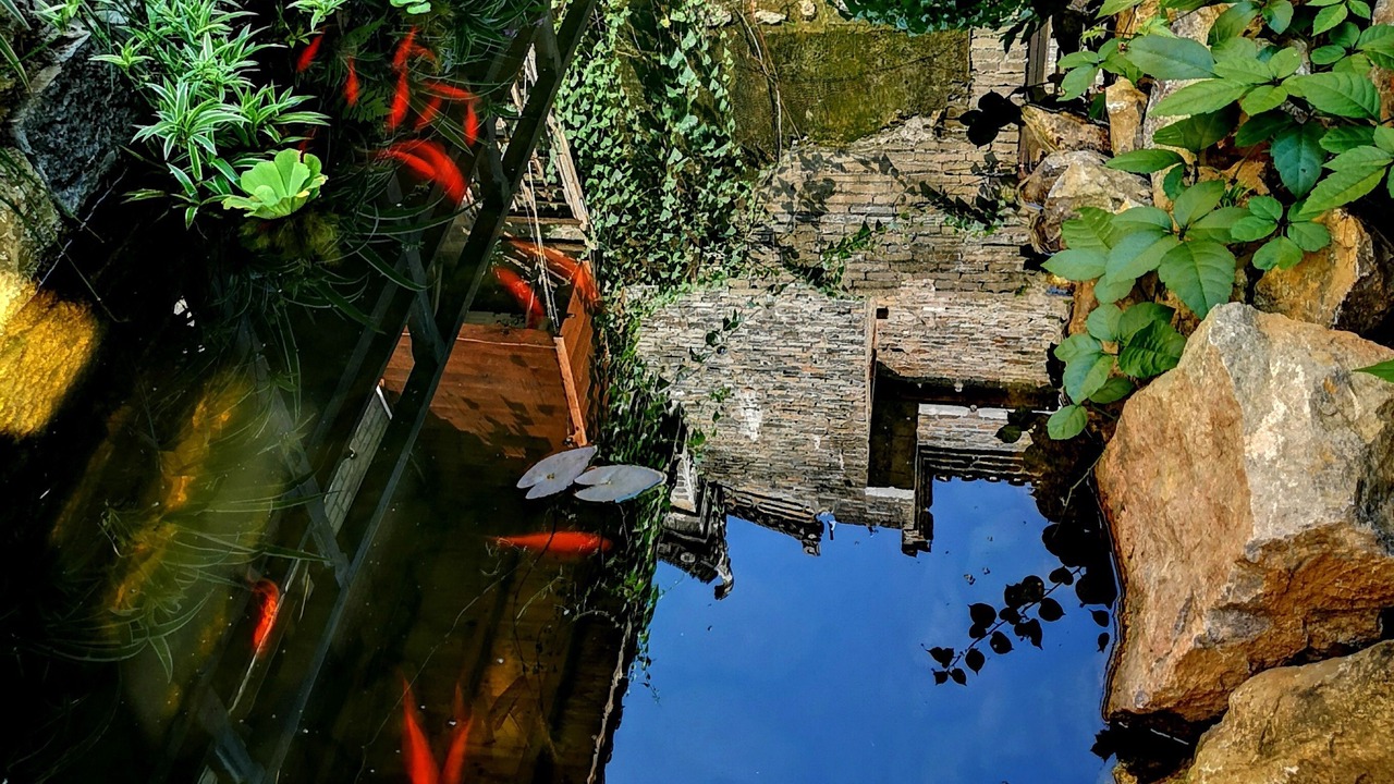 Photo of Outdoor in Yangshuo