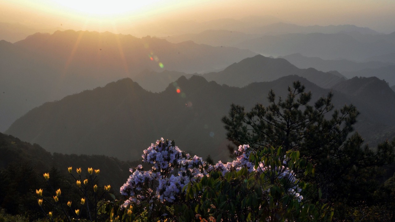 Photo of Others in Lishui