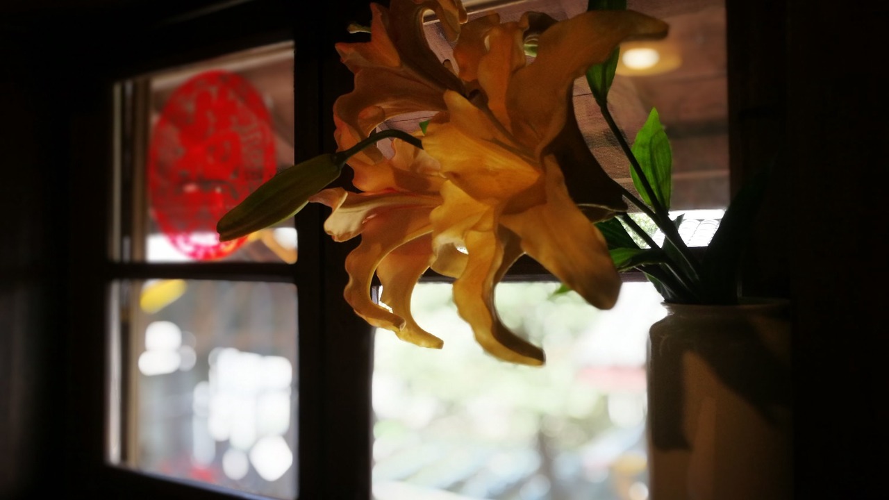 Photo of Others in Lishui