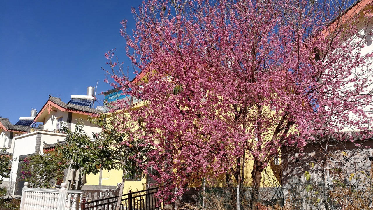 Photo of Outdoor in Shilin Yi Autonomous County