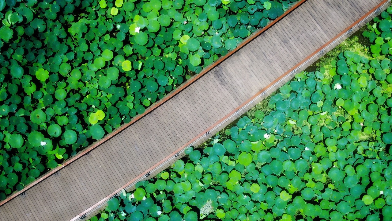 Photo of Outdoor in Chuanshan District