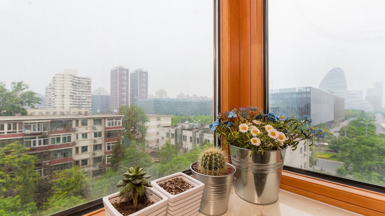 Photo of Outdoor in Wangjing