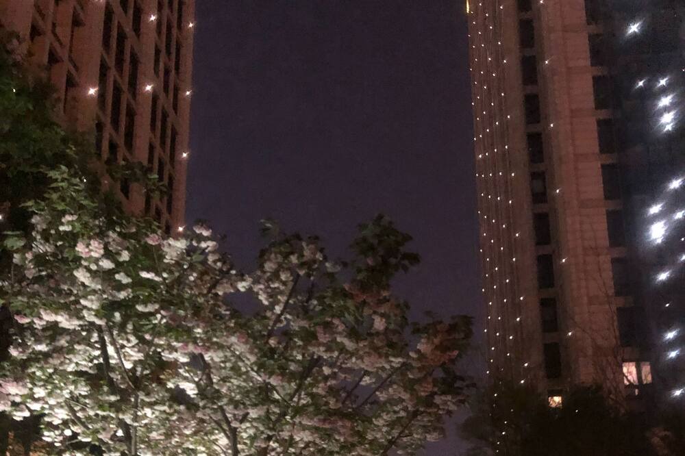 Photo of Others in Lujiazui