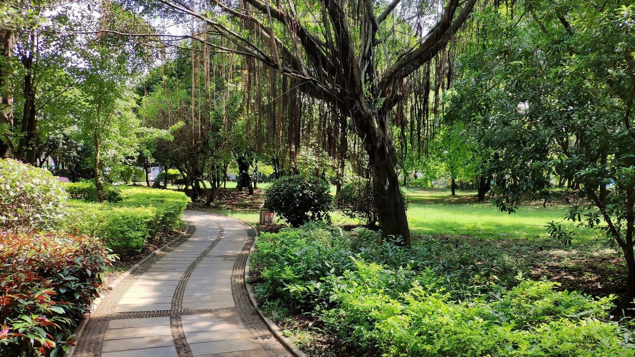 Photo of Outdoor in Qixing
