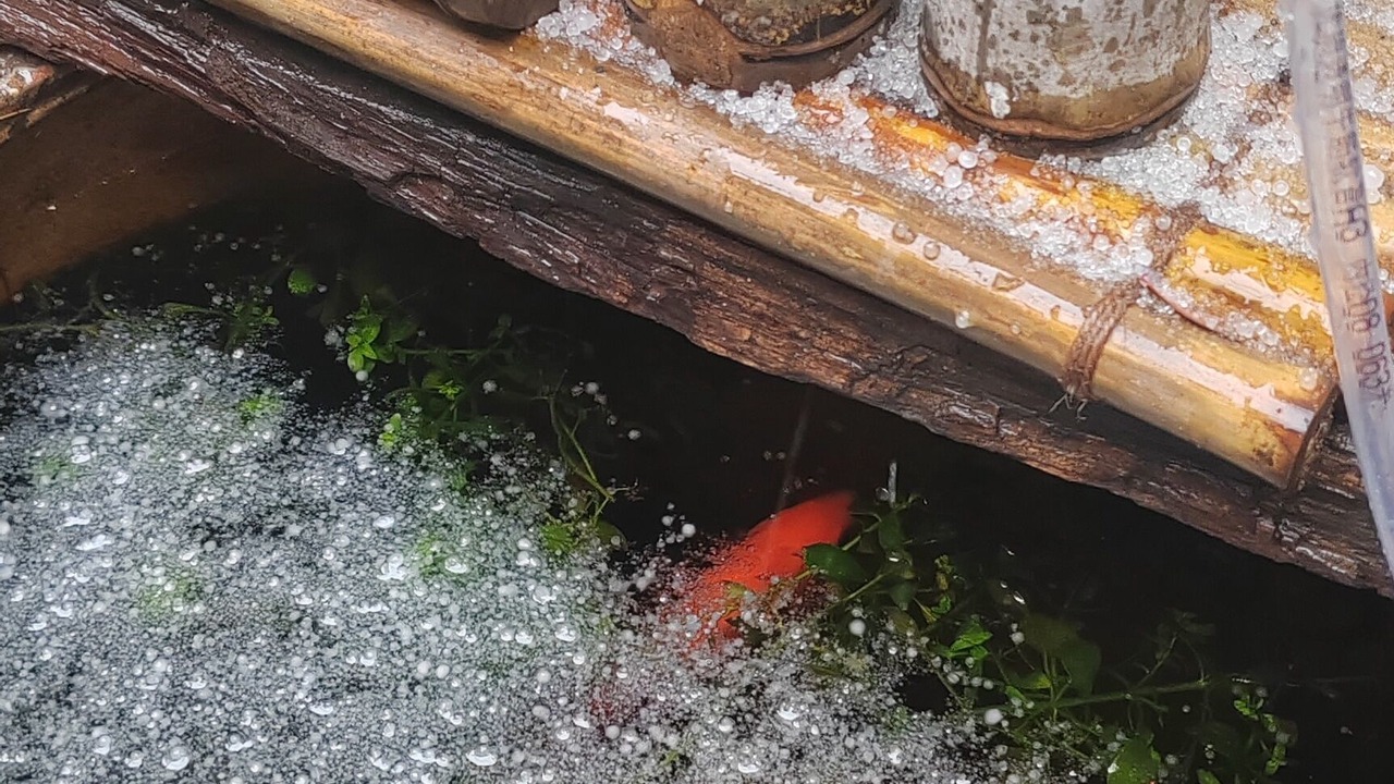 Photo of Outdoor in Yongding