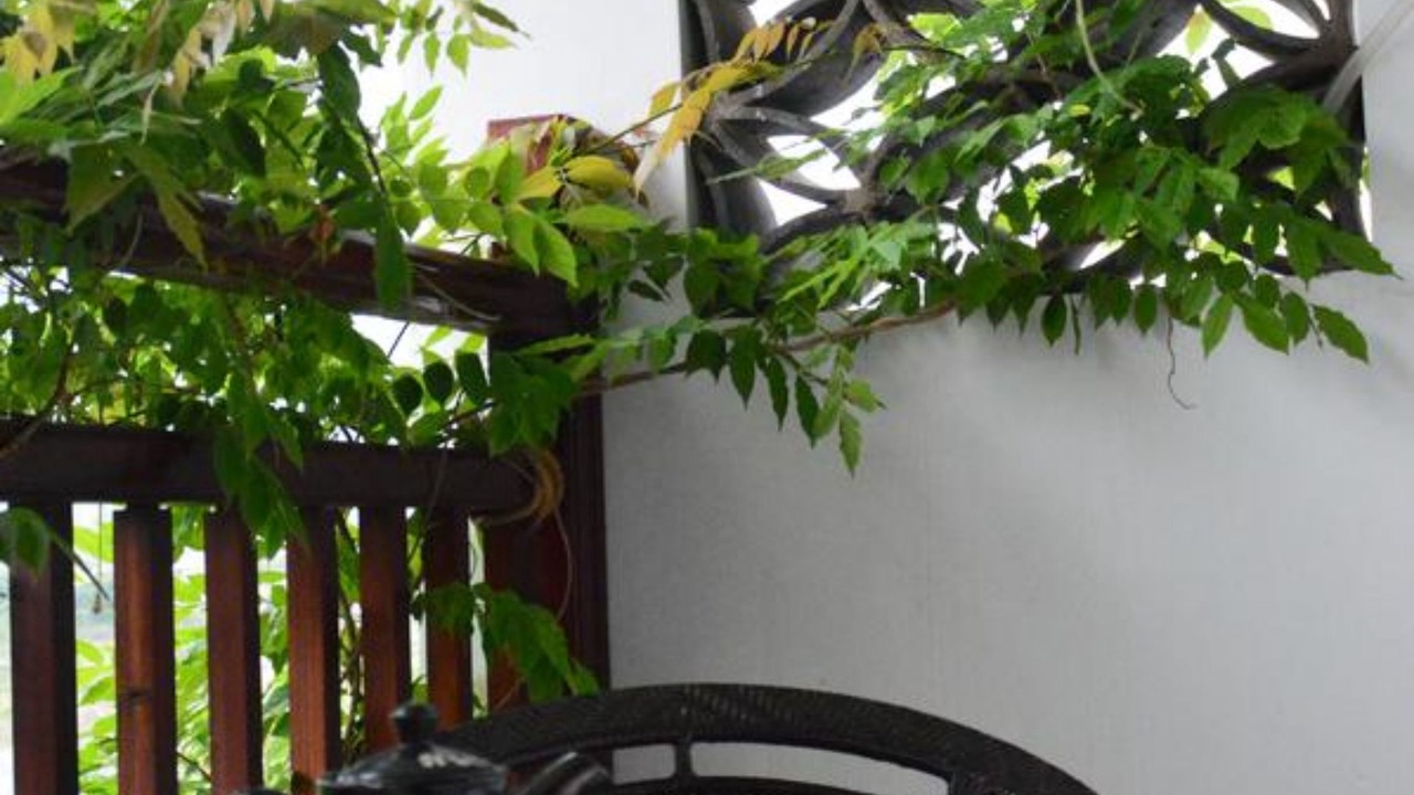 Photo of Bedroom in Xiufeng