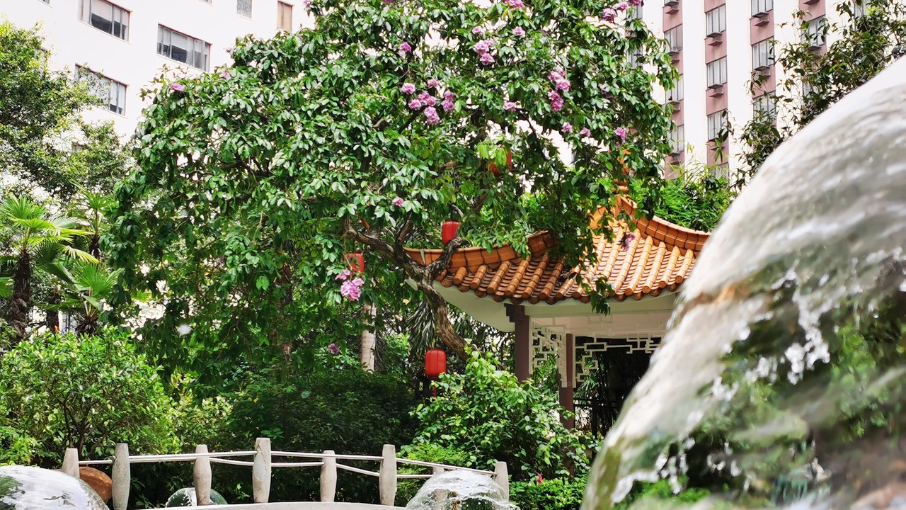 Photo of Outdoor in Yuexiu