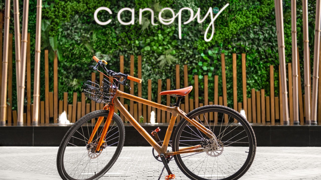 Photo of Outdoor in Chengdu City Centre