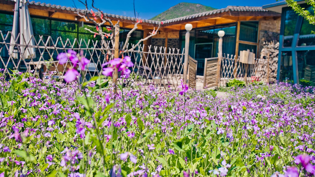 Photo of Outdoor in Changping