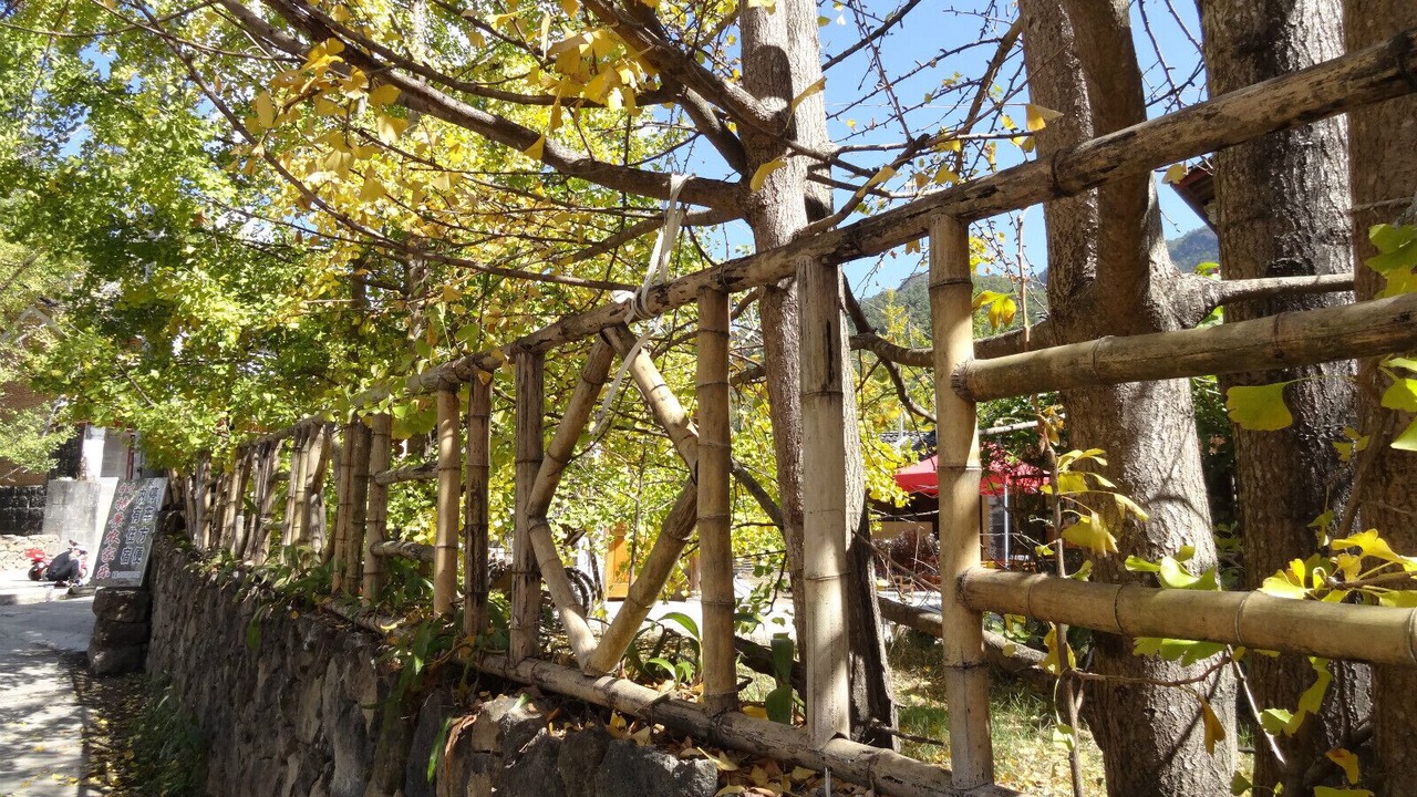 Photo of Outdoor in Tengchong