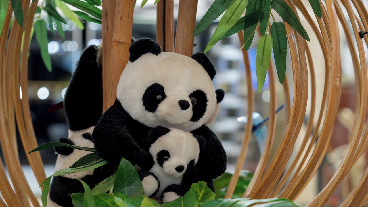 Photo of Others in Chengdu City Centre