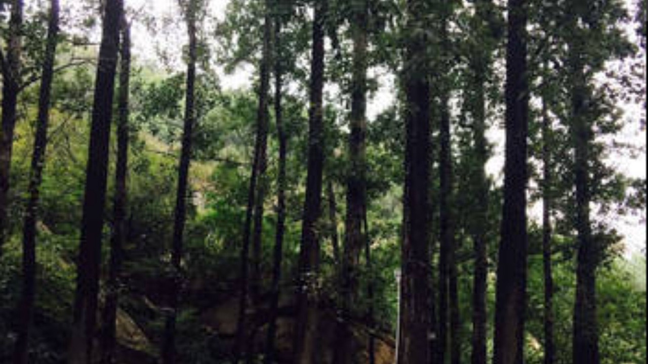 Photo of Others in Huairou