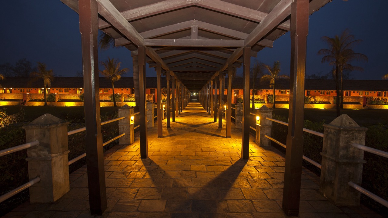 Photo of Outdoor in Sauraha Pharsatikar