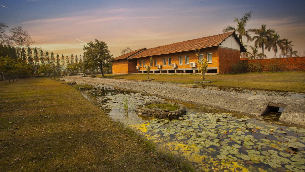 Photo of Outdoor in Sauraha Pharsatikar