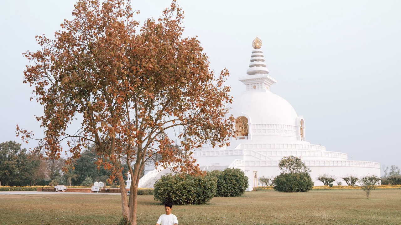 Photo of Others in Sauraha Pharsatikar
