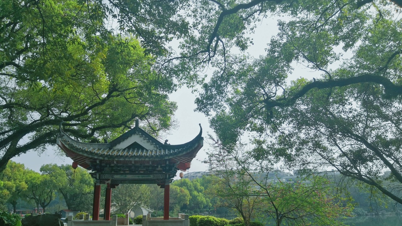 Photo of Others in Xiufeng