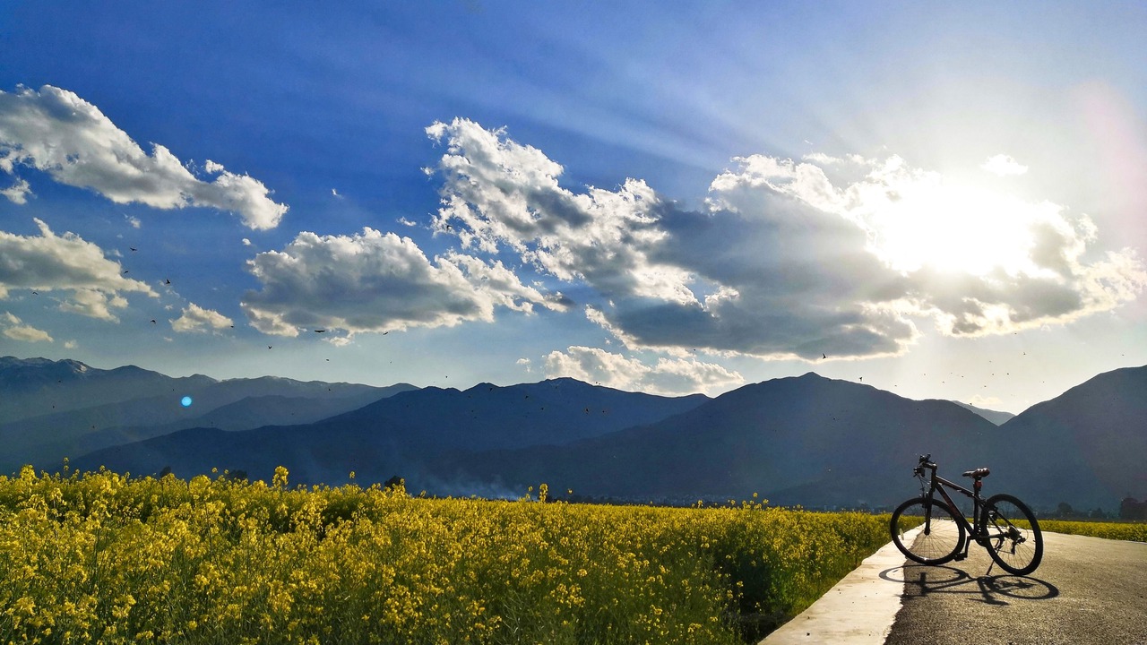 Photo of Outdoor in Dali Town