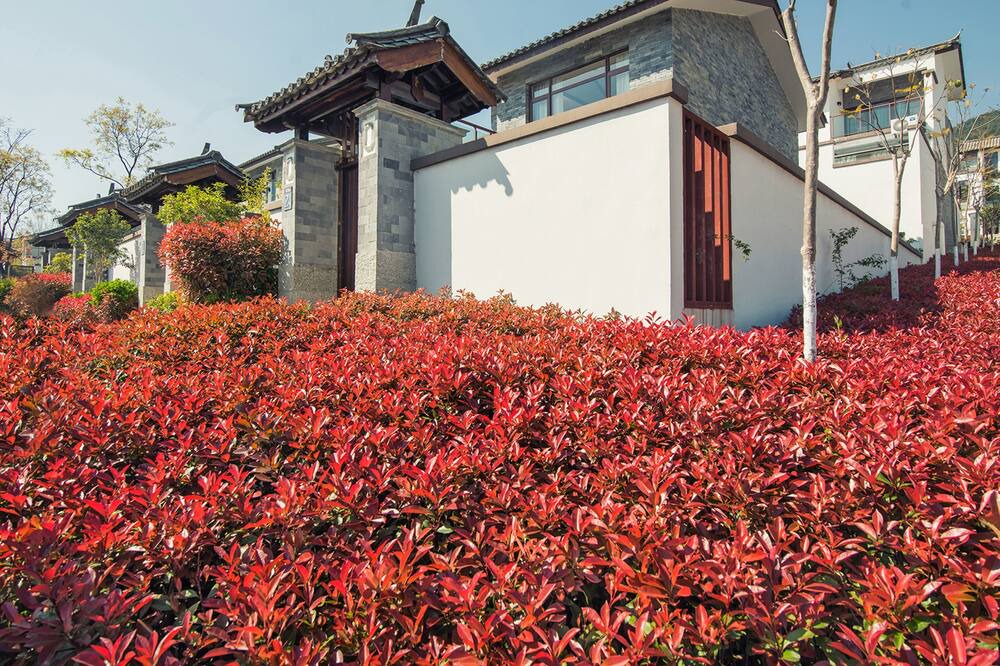 Photo of Outdoor in Dali