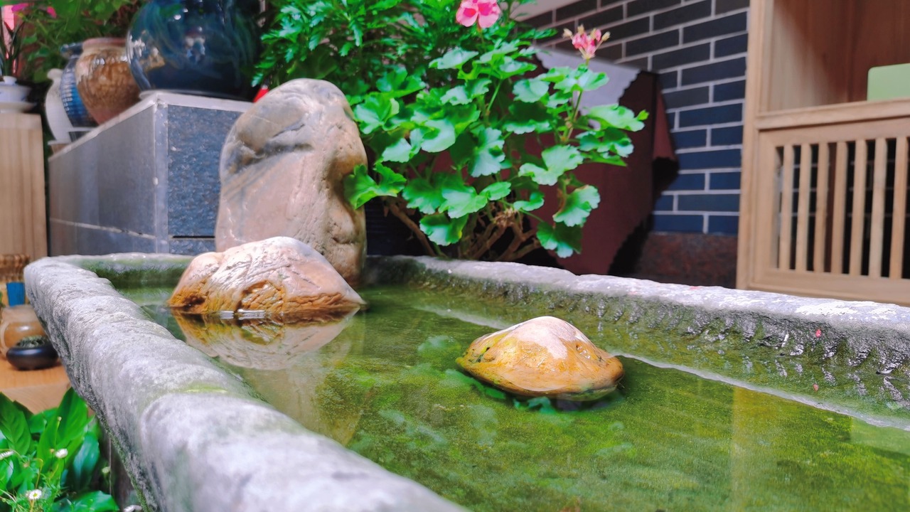 Photo of Outdoor in Chengdu City Centre