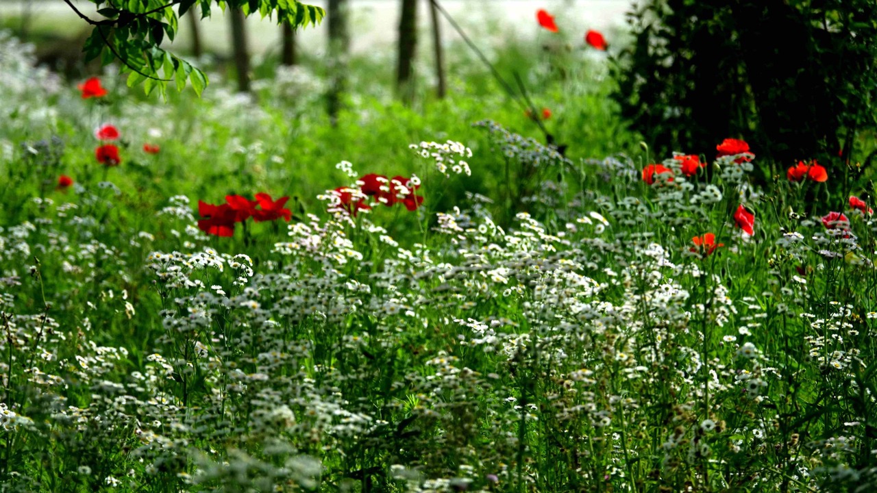 Photo of Outdoor in Chongming