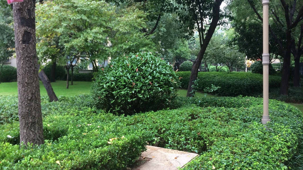 Photo of Outdoor in Jinshui District
