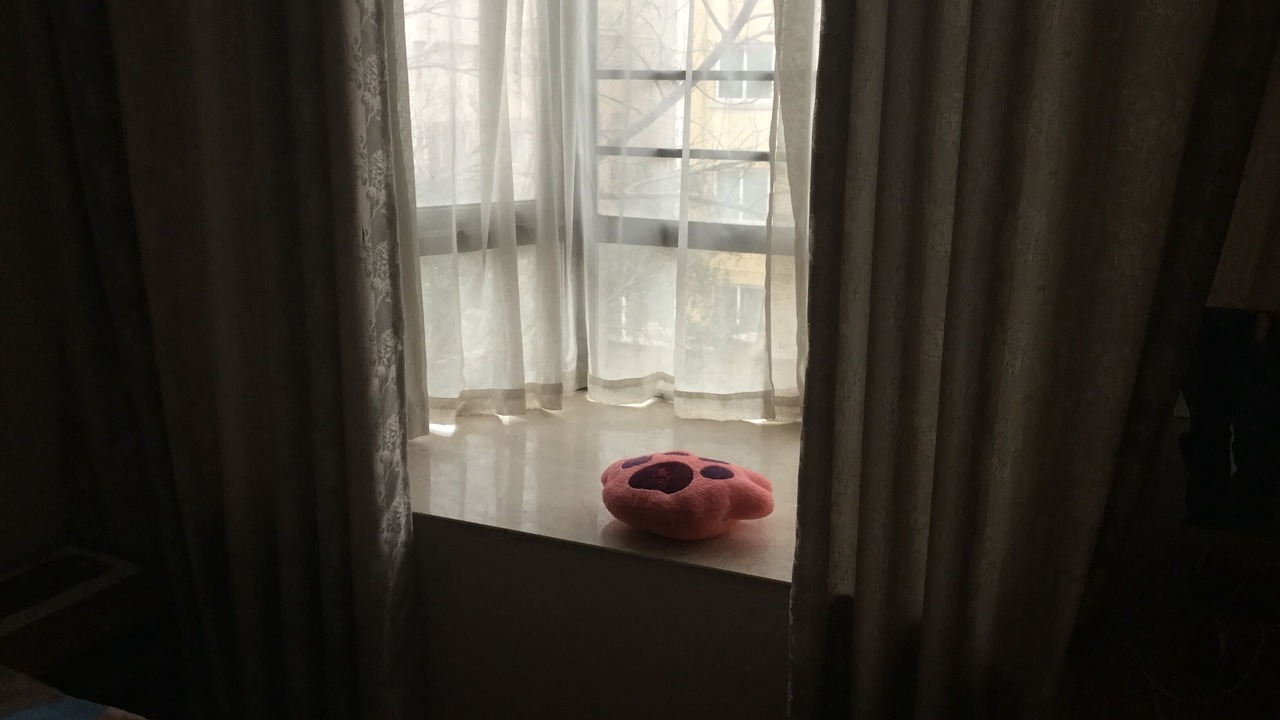 Photo of Others in Jinshui District