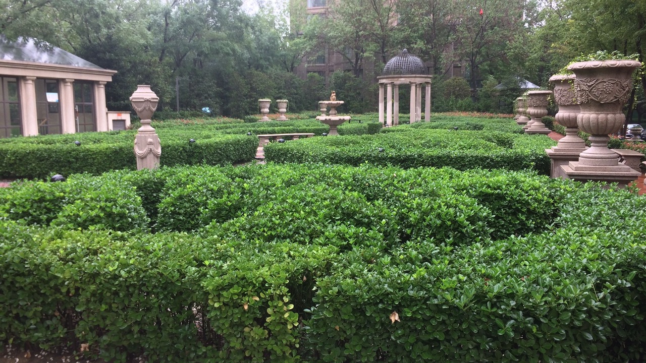 Photo of Outdoor in Jinshui District