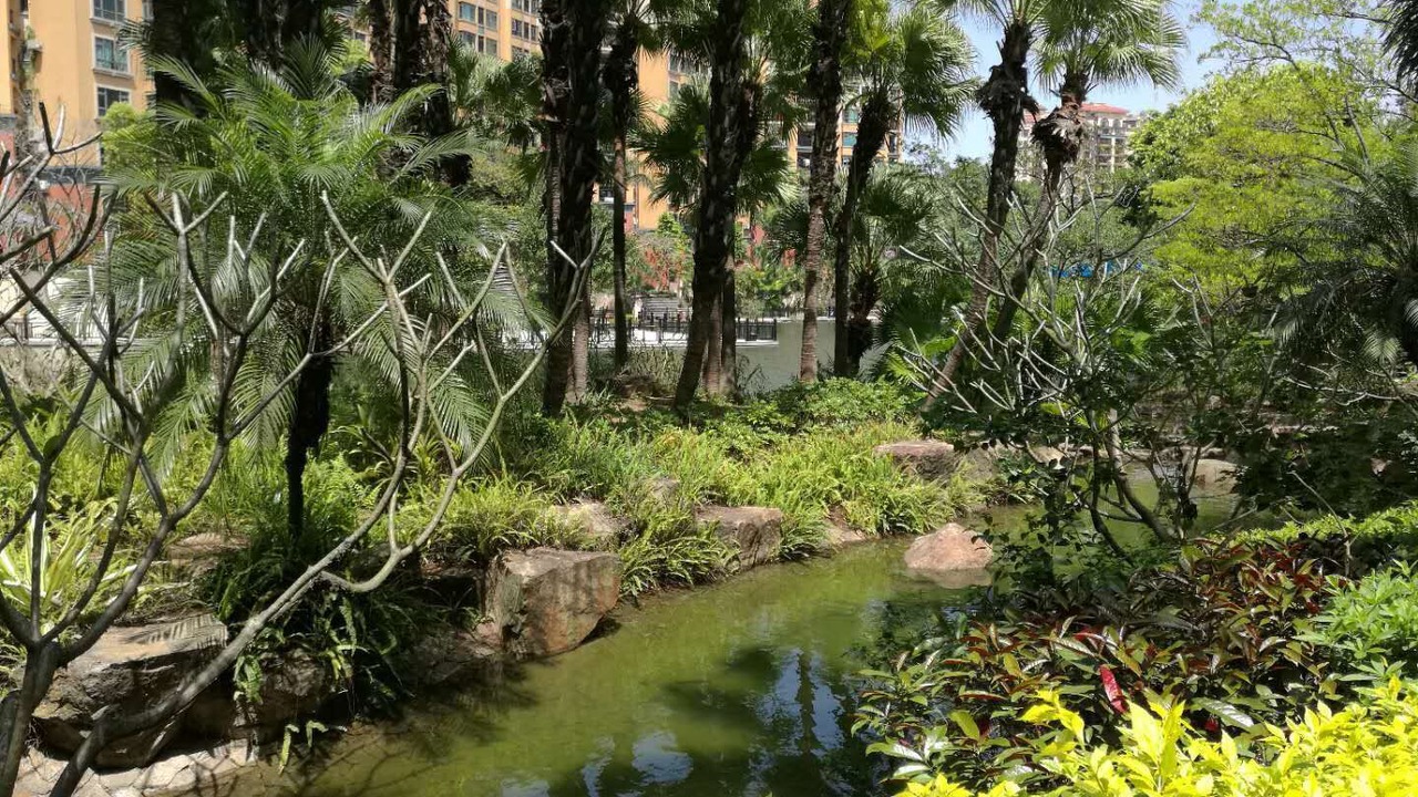 Photo of Outdoor in Dongguan City Center