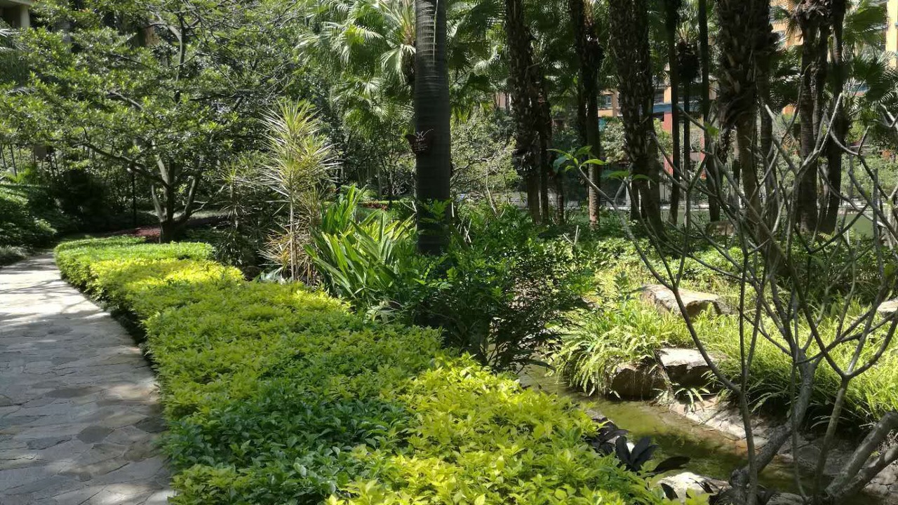 Photo of Outdoor in Dongguan City Center