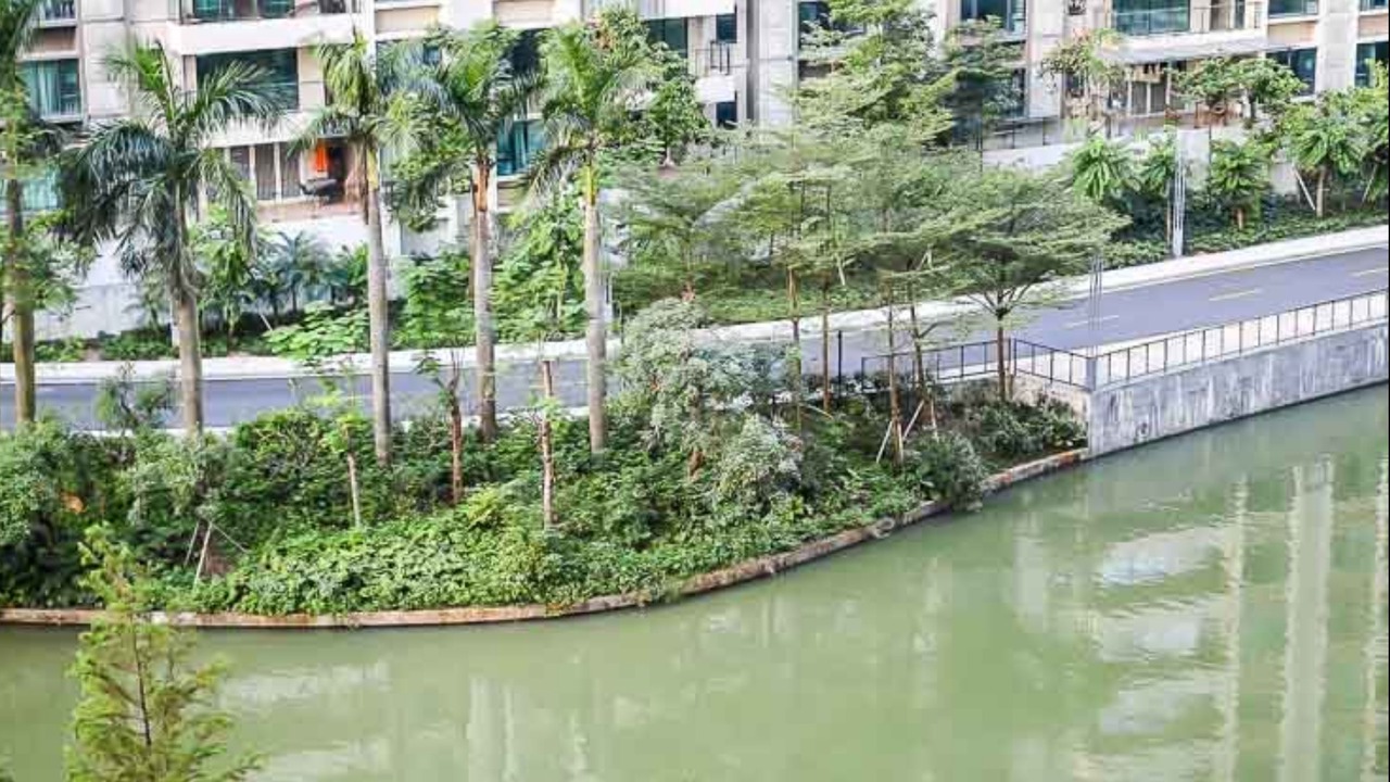 Photo of Outdoor in Xiangzhou District