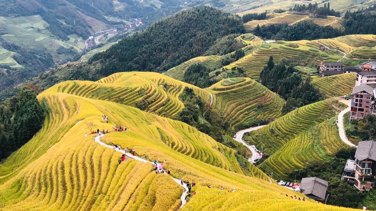 Photo of Others in Xiufeng