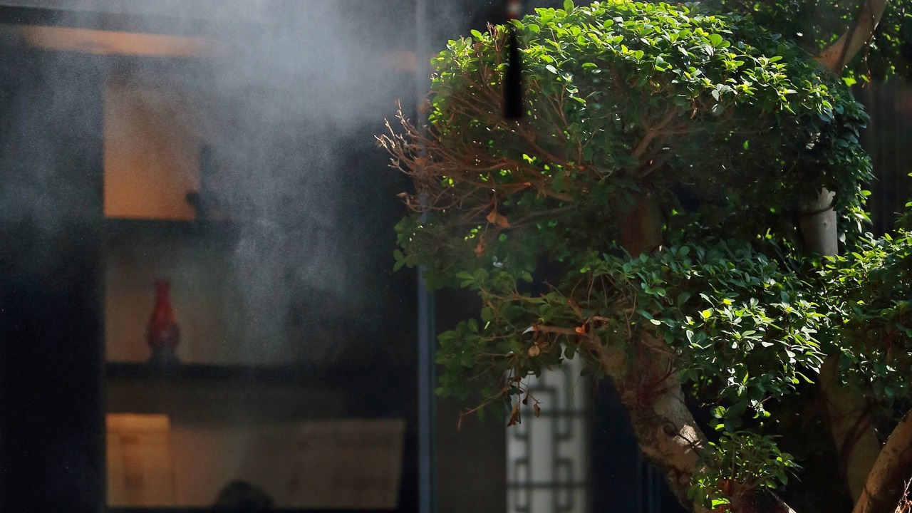 Photo of Others in Gulou