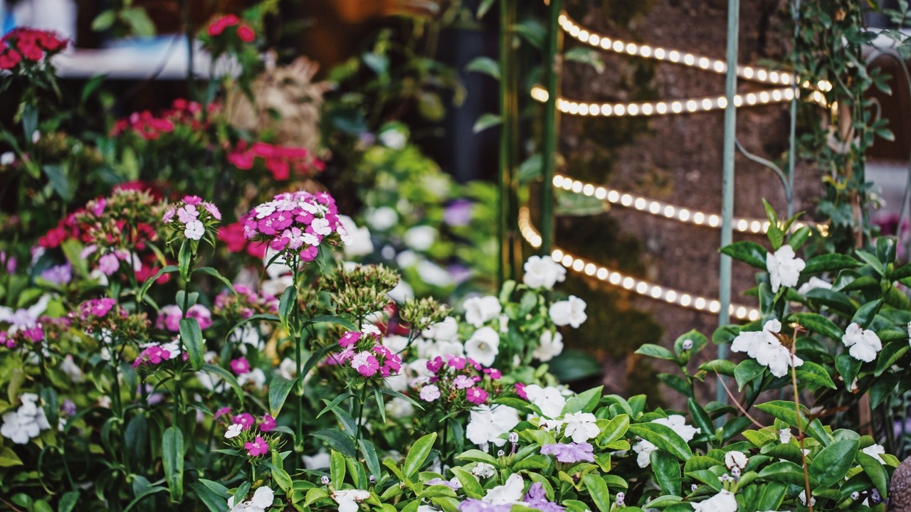 Photo of Outdoor in Wuyishan