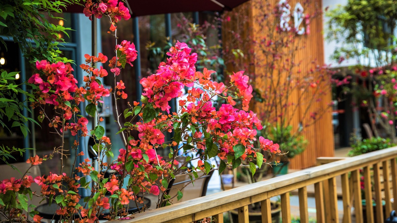 Photo of Outdoor in Wuyishan