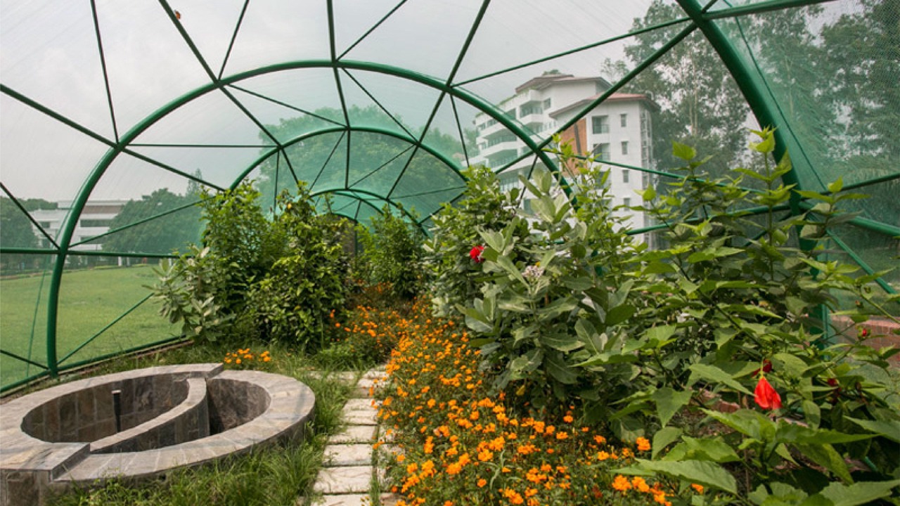 Photo of Outdoor in Pirozali