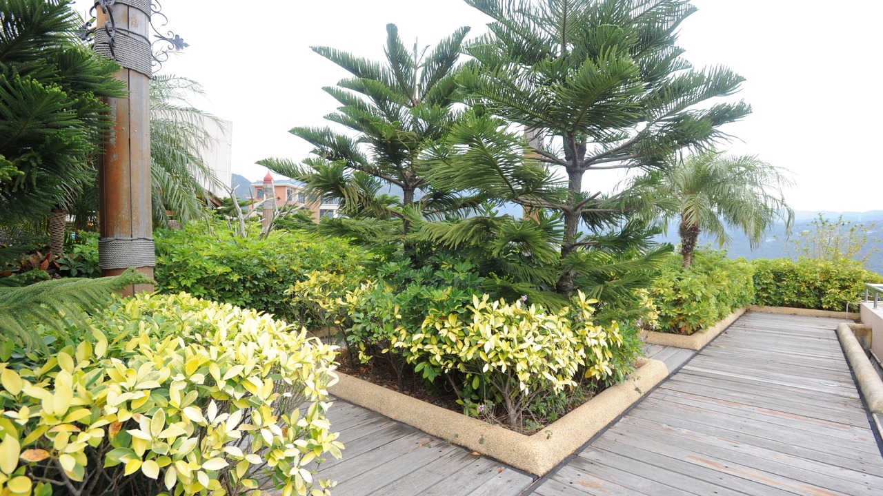 Photo of Outdoor in Yantian